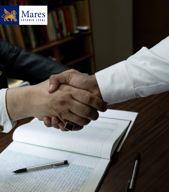 Professional Attorneys
